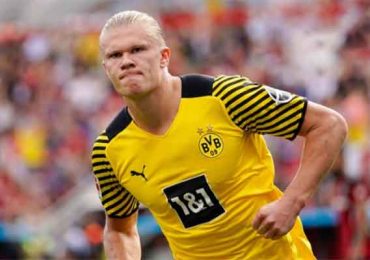 Erling-Haland