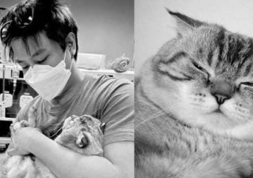 นายเฉโป We Are Lovely Pet เสียชีวิตแล้ว